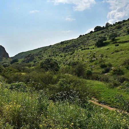 Mul Kinneret Livnim Esterno foto