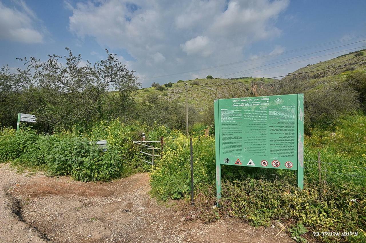Mul Kinneret Livnim Esterno foto