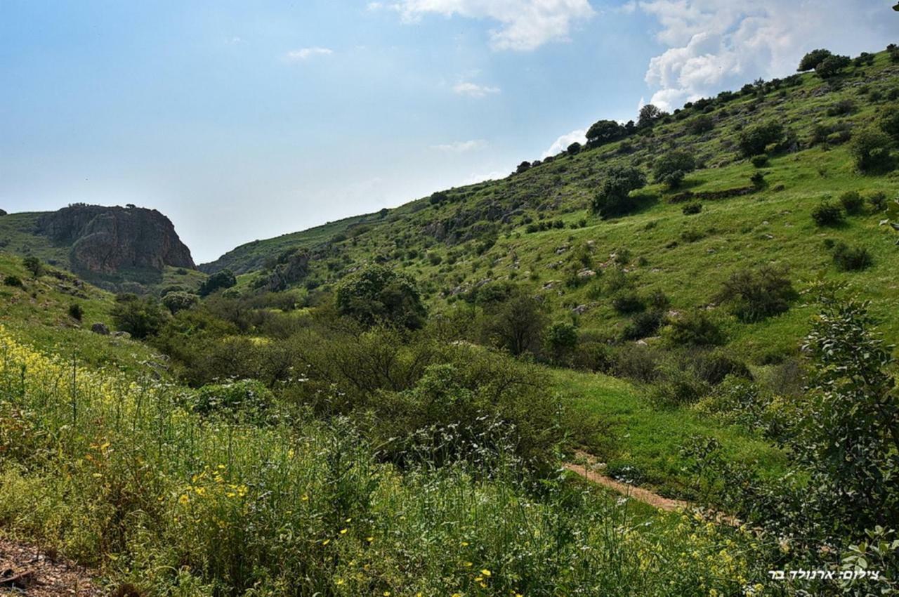 Mul Kinneret Livnim Esterno foto