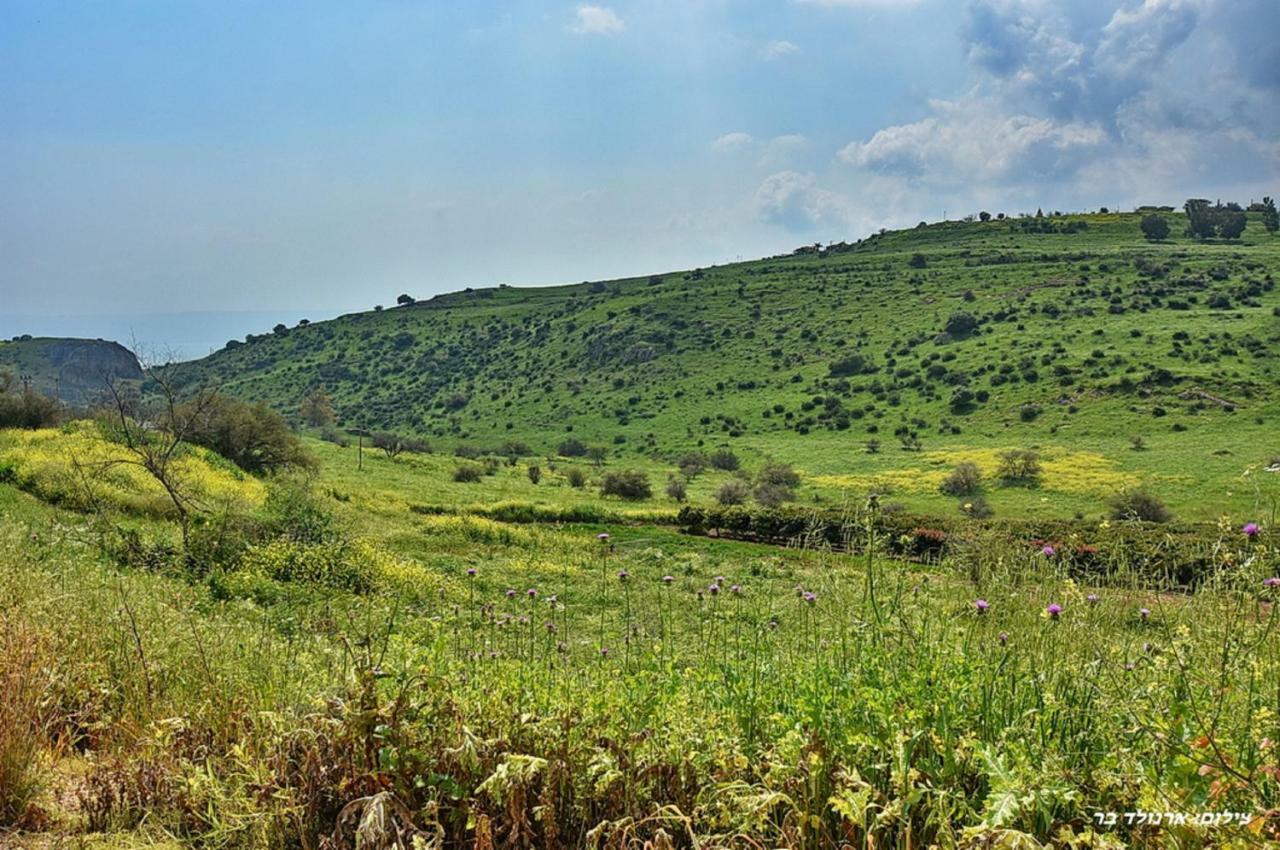Mul Kinneret Livnim Esterno foto